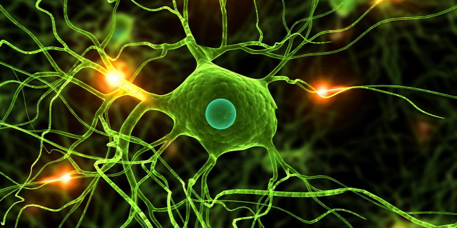 A Parkinson-kórosok jobban érzékelik a stabilitást, mint az egészségesek