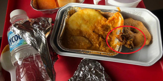 Csótányt szolgált fel az utasnak egy indiai légitársaság
