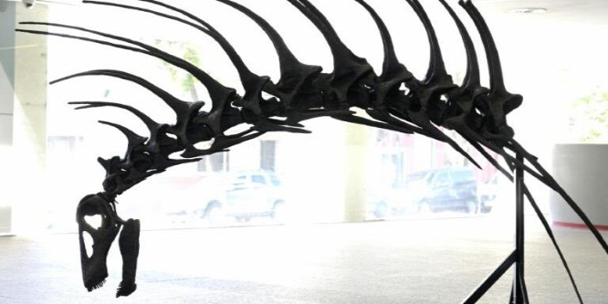 Tüskéshátú dinoszauruszfajt fedeztek fel Argentínában