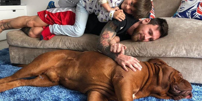 Messi kutyája brutálisan nagy