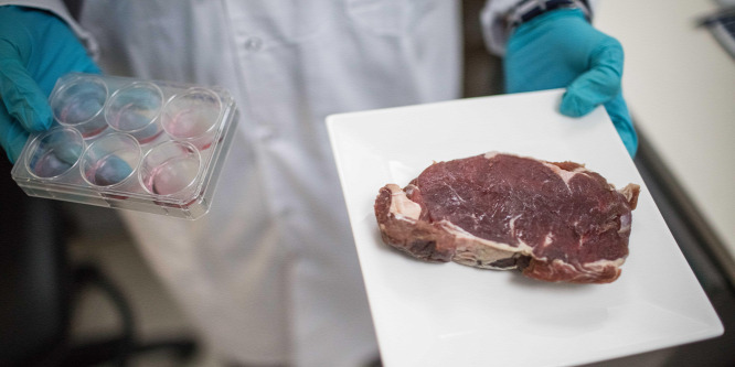 Nem laboratóriumi hússal fogjuk megmenteni a világot