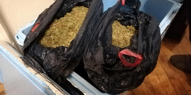 Álmukból verték fel a drogbanda tagjait a rendőrök