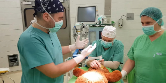 Plüssmacit műtött dr. Kőnig Róbert a beteg gyermekek kérésére