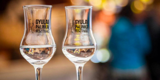 Honnan tudni, hogy melyek a legjobb pálinkák?