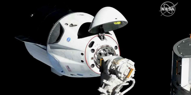 Nem csak a két asztronauta utazott a SpaceX űrhajójának fedélzetén