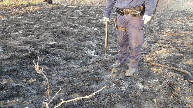 Győrújbaráti rendőrök oltottak tüzet – Óriási pusztítást akadályoztak meg Győrújbaráti rendőrök oltottak tüzet – Óriási pusztítást akadályoztak meg