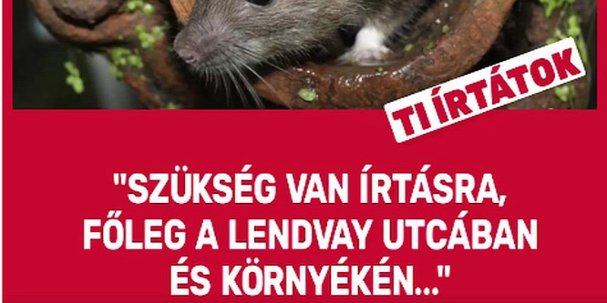 Újabb patkányozós gyalázkodó videó került elő az MSZP-től