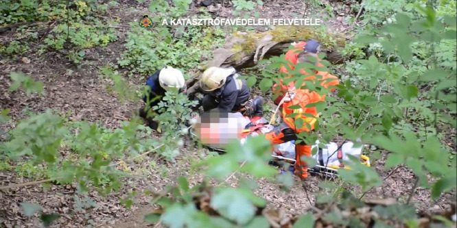 Nyolc métert zuhant egy fiatal lány a budai erdőben - Videó a mentésről