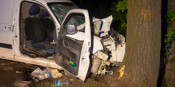 Őz miatt fának csapódott egy kisteherautó Kiskőrös közelében