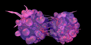 Forrás: Science Photo Library/SCIENCE ARTWORK/SCIENCE PHOTO LIBRARY/Science Artwork/Science Photo Li