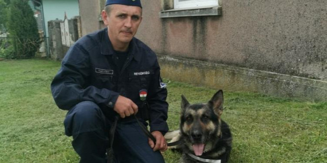 Rendőrkutya segített elfogni a betörőt