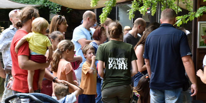 Csaknem kétszázezren látogattak el idén a Budakeszi Vadasparkba