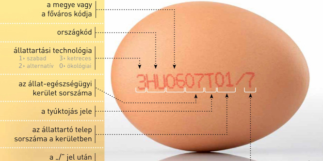 Most megtudhatja, hogy mit jelent a számsor a tojásokon