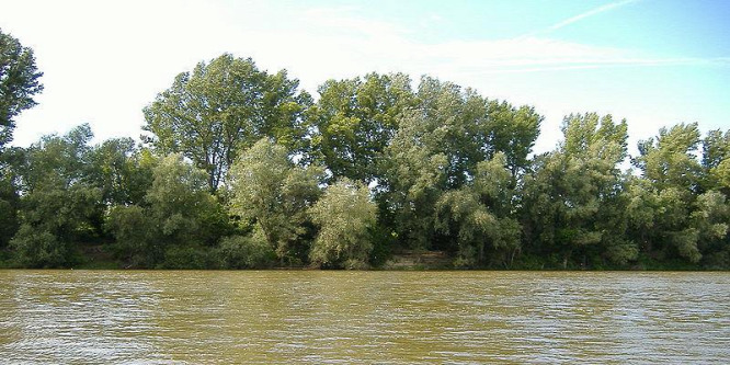 Öt ország működött együtt a Tisza ökológiai állapotának javításáért