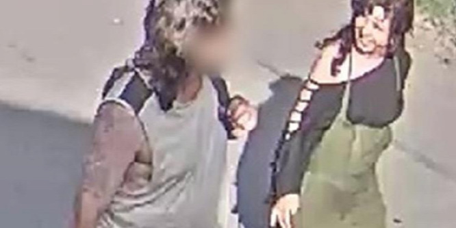 Közzétették a felvételeket a nőről, aki agyonütötte a budapesti állatkert teknősét