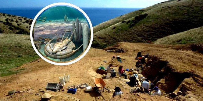 Ősi mélytengeri rém maradványaira bukkantak Ausztráliában