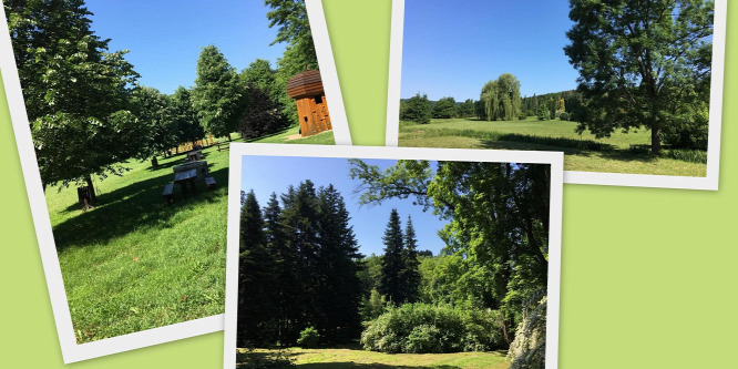Egy hely, ahol megáll az idő: A Budafai Arborétum csodái