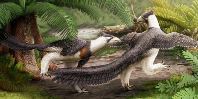 Szárnya és tollai is voltak az első húsevő velociraptoroknak