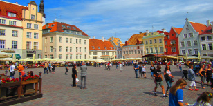 Forrás: D. Petra