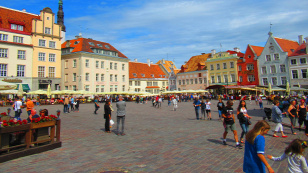 Forrás: D. Petra