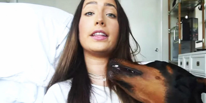 Döntött a rendőrség a kutyáját megverő és leköpő YouTube-sztárról
