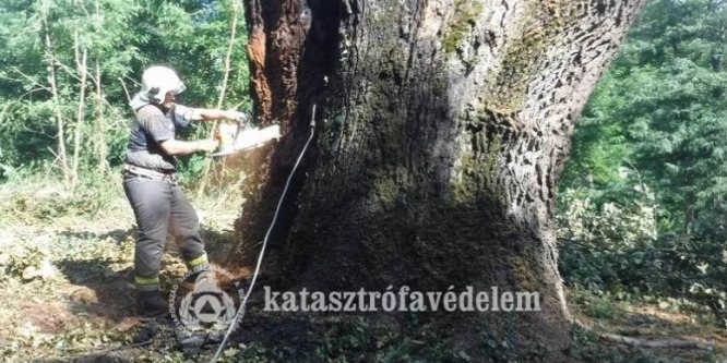 Huszonhárom órán át küzdöttek Patkó Bandi fájáért