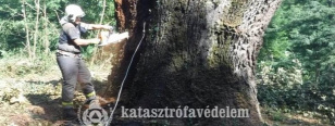 Forrás: Somogy Megyei Katasztrófavédelmi Igazgatóság