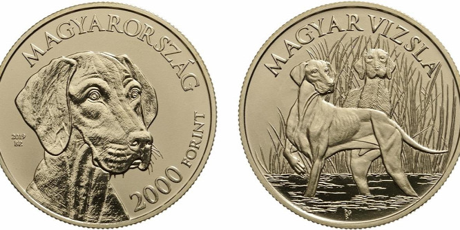 Emlékérmet kapott a legendás magyar kutyafajta