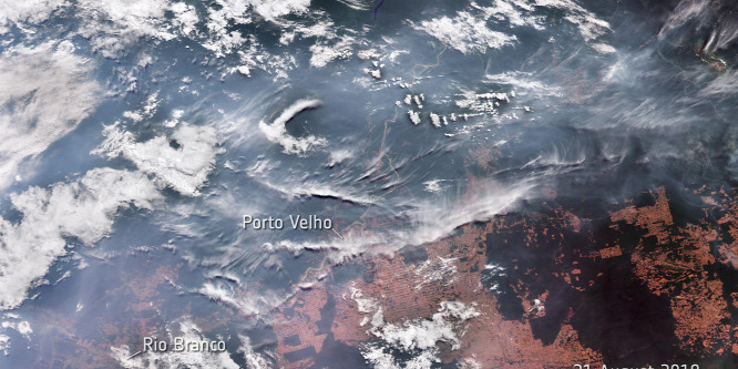 Százmillió dolláros amerikai-brazil befektetési alapot hoznak létre Amazónia védelmére