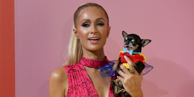 Paris Hilton életében elször bevallotta: terrorban tartották