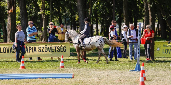 Rekordszámú nevezés érkezett a 15. fóti Nemzetközi Díjlovas Versenyre