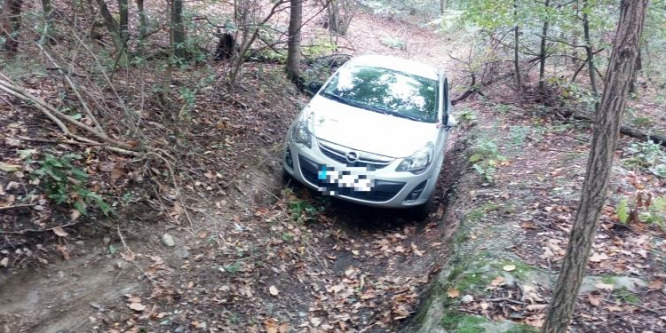 Dudálással találták meg a kocsijával a Soproni-hegységben elakadt nőt