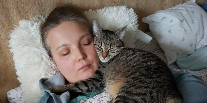 Tudja-e, hogy simogatás közben miért kap oda időnként a macska?