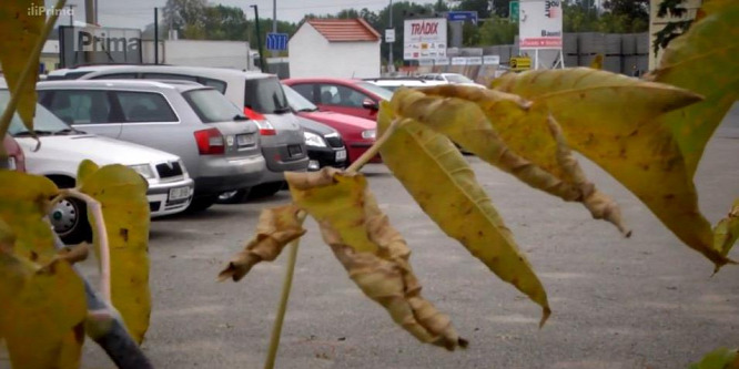 Kiderültek a brutális csehországi csecsemőgyilkosság részletei