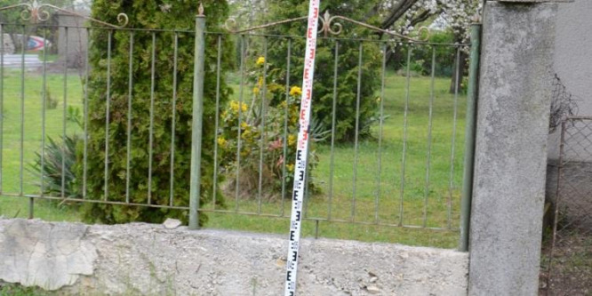 Megharapott egy nőt egy otthonról megszökött kutya