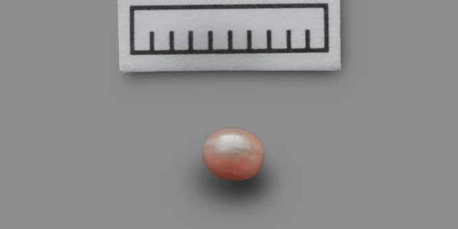 Hihetetlenül öreg igazgyöngyöt találtak az archeológusok