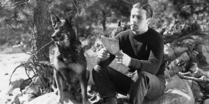 John Wick kutyás verziója lesz a Rin Tin Tinről szóló film