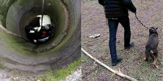 Hat méter mély kútba esett egy kutya Nyíregyházán