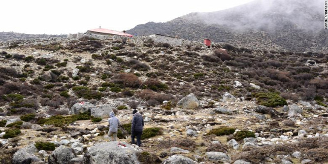 Egyre több növény él a Mount Everest térségében