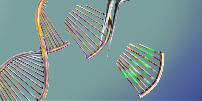 A CRISPR genomszerkeszt rendszer kifejlesztését díjazták