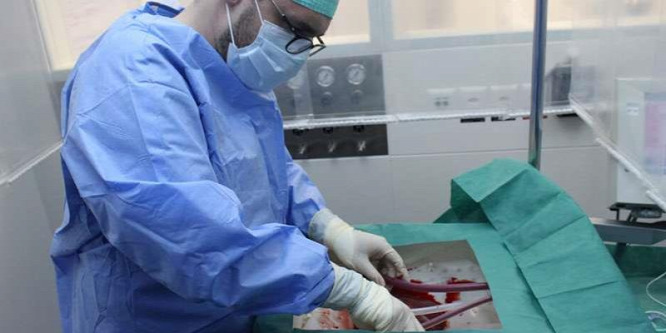 A donormájat akár egy héten át is életben tartja a műtest