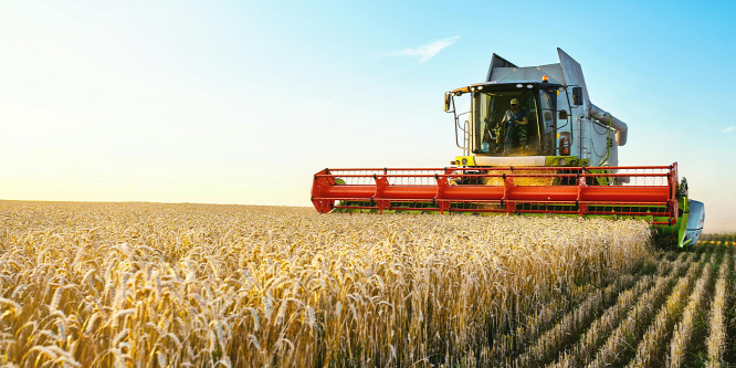 Világszerte növelni kell az agrárium hatékonyságát az egyre növekvő népesség ellátásához