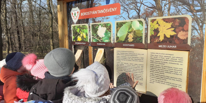 Új tanösvény a debreceni Nagyerdőben