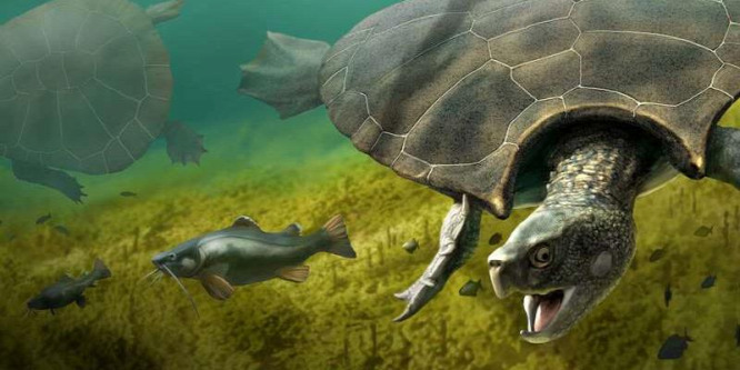 Szarvakat viselt páncélján a gigantikus ősteknős