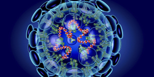 Forrás: Science Photo Library/ROGER HARRIS/SCIENCE PHOTO LIBRARY/Roger Harris/Science Photo Libra