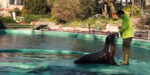 https://zoobudapest.com/