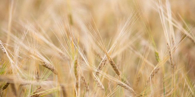 Jelentős segítség az agrárgazdálkodóknak