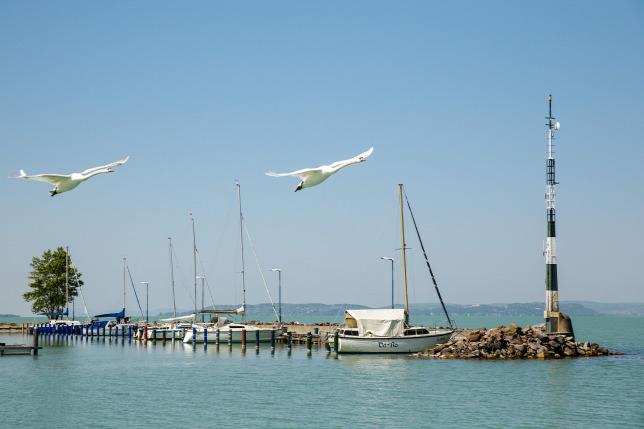 Strandolók buktattak le egy tolvajt Balatonlellén Strandolók buktattak le egy tolvajt Balatonlellén