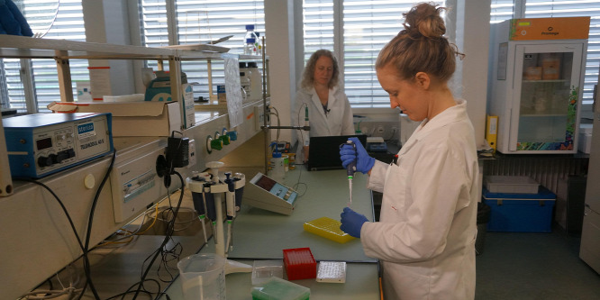 Hatékony lehet a Covid-19 kezelésében egy SARS ellen kifejlesztett vegyület