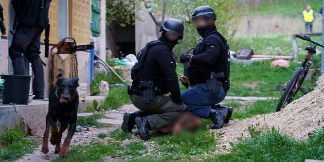 Megpróbálta elköltöztetni a marihuánaültetvényt, amikor elfogták a rendőrök - videó